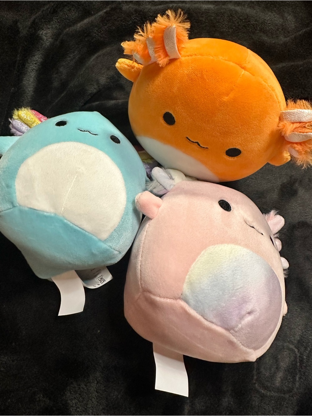 Squishmallows Axolotl Plush Bundle Small  Pink Blue Orange Stuffed Set of 3 - Picture 2 of 9